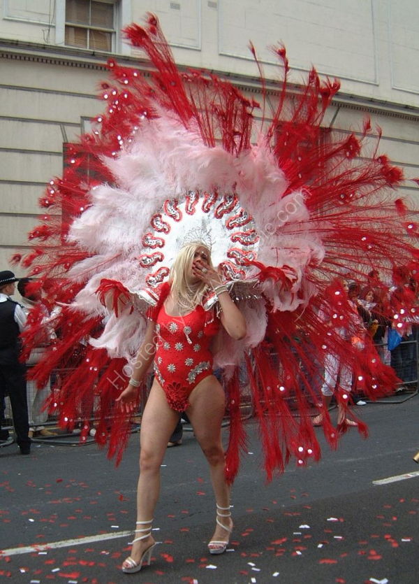 Nottinghill Carnival Costume